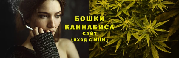 spice Лагань
