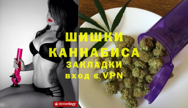 spice Лагань