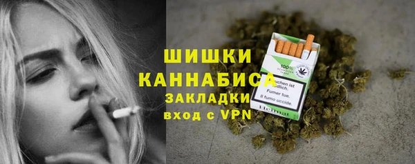 прущие грибы Лабытнанги