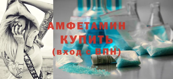 прущие грибы Лабытнанги