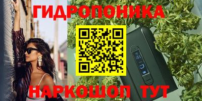 PSILOCYBIN Изобильный