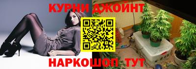 гашик Аргун