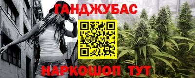 гашик Аргун