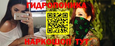 гашик Аргун