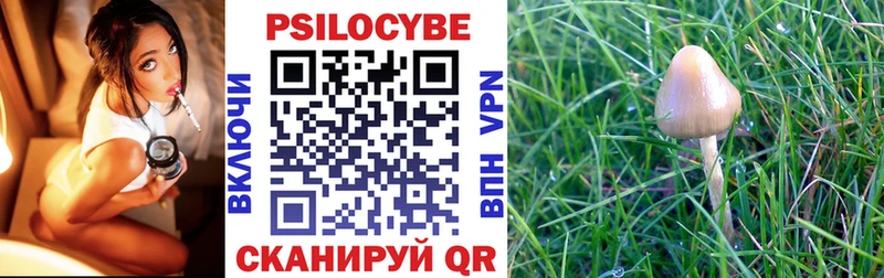 Галлюциногенные грибы MAGIC MUSHROOMS  Лысьва 
